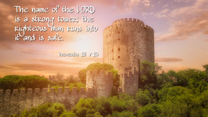 The name of the LORD is a strong tower; the righteous man runs into it and is safe. Proverbs 18 v 10