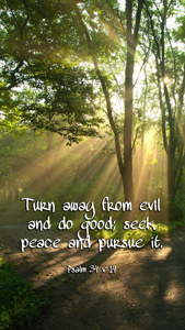 Turn away from evil and do good; seek peace and pursue it. Psalm 34 v 14