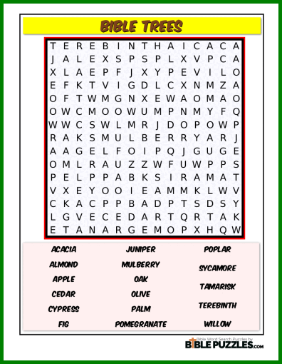 Bible Word Search - Bible Trees